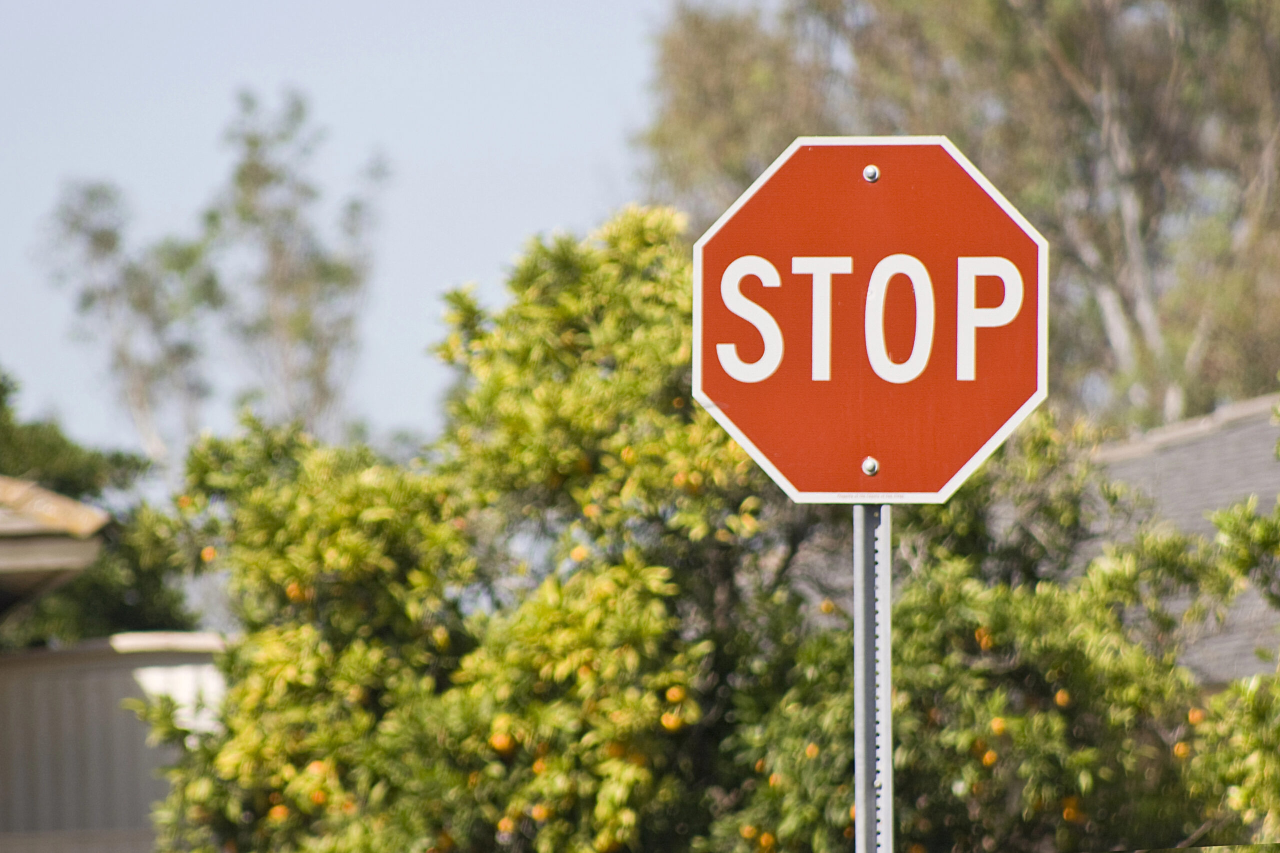 Driving Safely in Saratoga: A Community Reminder